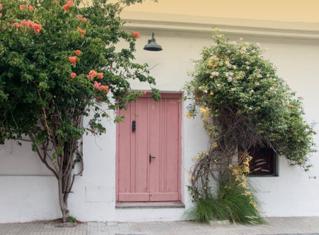 View of a beautiful old house with flowering trees in frontのeditorial素材