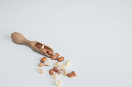 Peanut on white background