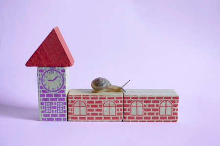 Snail strolling on top of a toy house whit pink background