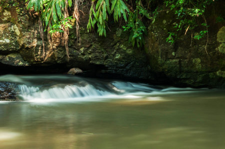 waterfall in the jungle