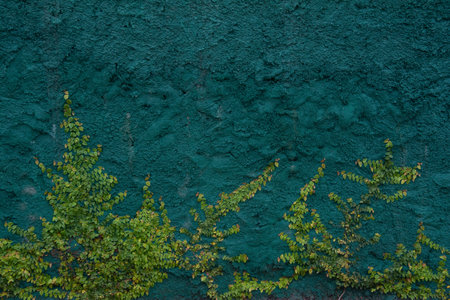 green moss on the stone