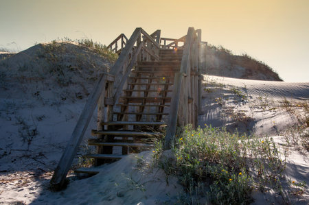old pier on the dunes in brazilの写真素材