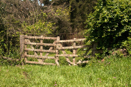 Wooden fence with a forest and blue sky and clouds in the background