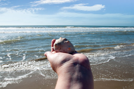 Hand holding a seashell on the beach with blue sky background.の写真素材
