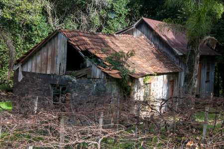 Old abandoned house with broken roof in the countryside of Brazilのeditorial素材