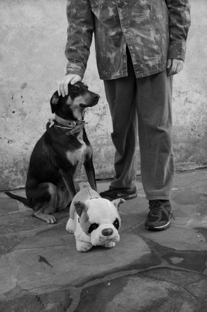 Black and white portrait of a dog and a man with a dog