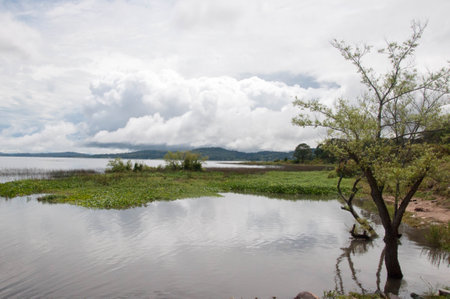 Landscape view of lake and cloudy sky in Uruguayの写真素材