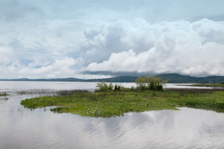 Landscape view of lake and cloudy sky in Uruguayの写真素材