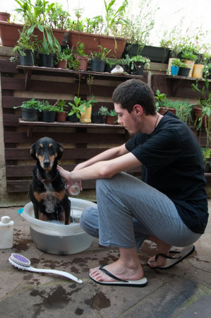 Man washing his dog in a basin in the backyard of his houseの写真素材
