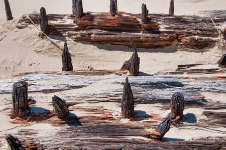 Antique wooden nails in a shipwreck by the seaの写真素材
