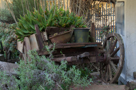 Old wooden cart with flower pots in the garden. Vintage style.
