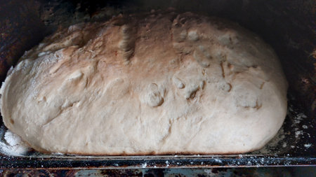 Raw dough in a baking pan, close-up, selective focusの写真素材