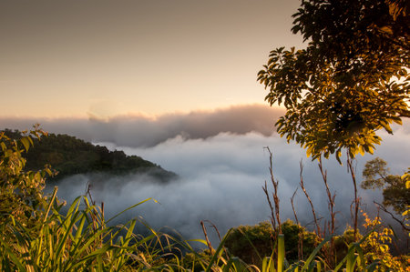Fog and cloud in the mountains, Brazilの写真素材