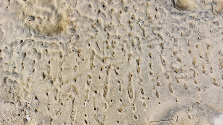 Texture of stone with holes in the shape of a wave. Abstract background.