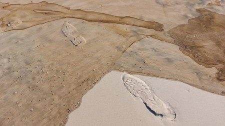 close up of footprints in the sand on a beach in the summer