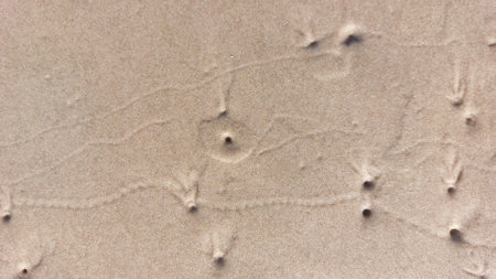 beach sand texture as an abstract background.