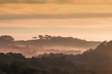 Sunrise over misty landscape in Brazilの写真素材