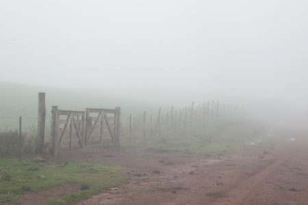 Foggy morning in the countryside with wooden gate in the foregroundの写真素材