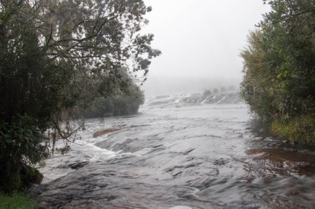 Foggy morning on the river in the mountains, Brazilの写真素材