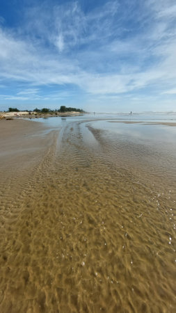 beach and sea in low tide with blue sky and white cloudsの写真素材