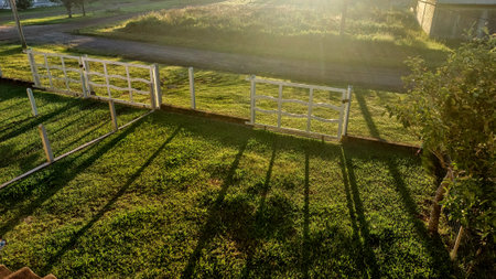 Wooden fence and grass in the garden at sunset. View from above.の写真素材