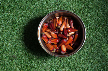 Nuts in a bowl on green grass, top view