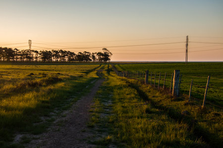 Sunset over a dirt road leading to a power line in the countryside