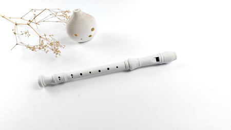 Musical instruments on a white background.Recorder and ocarinaの写真素材