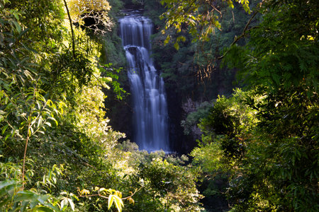 waterfall in the forest