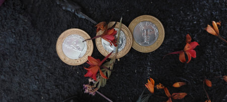 real coins and red flowers on a black background. High quality photo