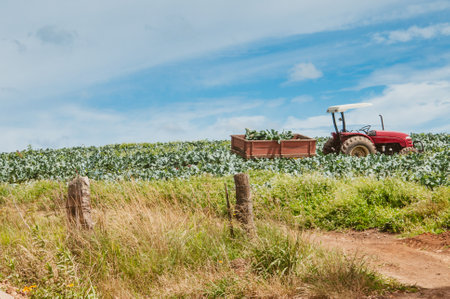 Rural landscape and red tractor on a farm field.
