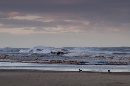 Seascape with stormy waves on the coast of Atlantic oceanの写真素材
