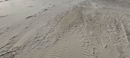 Dry riverbed with sand and mud in the summer time.