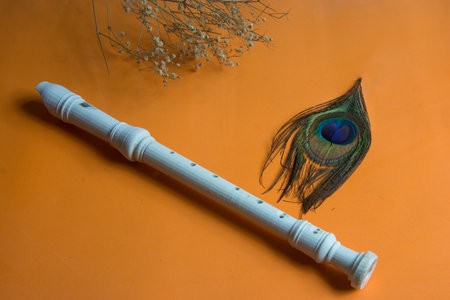 peacock feather and flute on orange background with copy spaceの写真素材