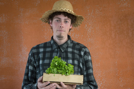 Farmer holding a box of fresh lettuce on a rustic backgroundの写真素材