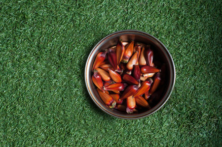 pine nuts in bowl on green grass background, top view.の写真素材
