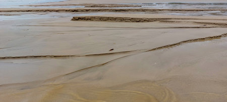 beach and sea in low tide, panoramic view.