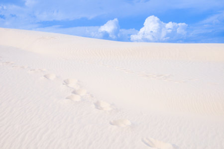 White Sand Dunes Desert in Brazilの写真素材