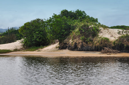 sand dunes on the bank of the riverの写真素材