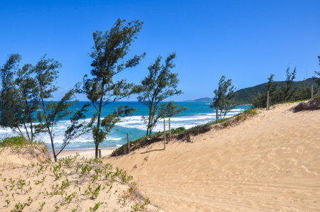 View of the sand dunes in gamboa, brazilの写真素材