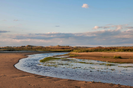 Beautiful view of the riverの写真素材