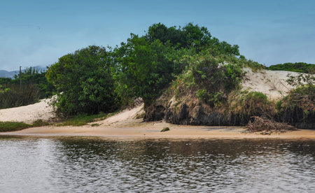 Landscape with sand dunes and trees on the shore of the riverの写真素材