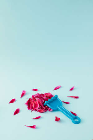 Tender flower petals gathering on a pile with a rake on a light blue background. Minimal layout