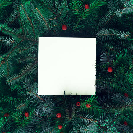 Christmas tree branches with New Year's lights. Flat lay. Party concept with note card.