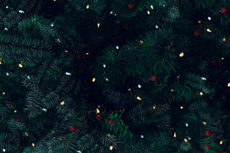 Christmas tree branches with New Year's lights. Flat lay party concept.