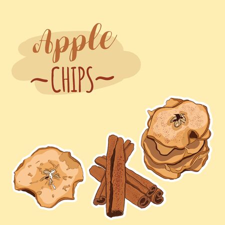 Hand Drawn Full Color Colorful Realistic Dried Apple Chips Sweet Dessert Fruit with Cinnamon Rollsのイラスト素材
