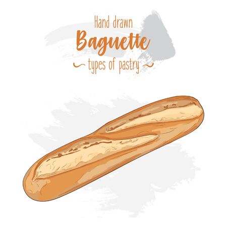 Hand drawn colorful types of pastry french Baguetteのイラスト素材