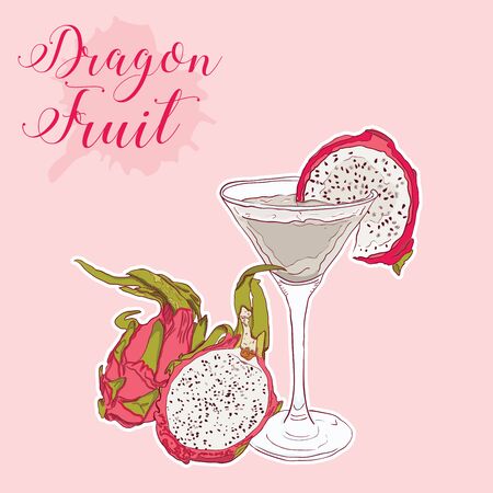 Hand Drawn Colorful Exotic Tropical Fruit Dragon fruit Pitahayaのイラスト素材