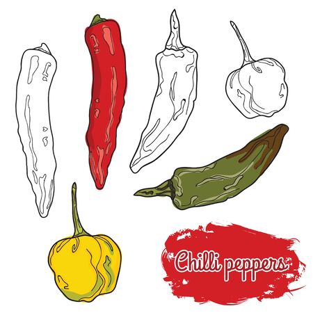 hand drawn colorful chilli peppersのイラスト素材