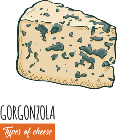 Hand drawn colorful Gorgonzola cheeseのイラスト素材